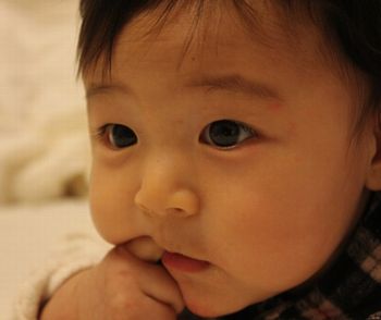 なめてる赤ちゃん